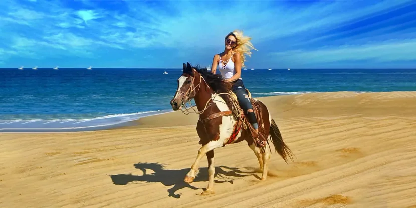 Horse riding  tour -  2 hours ( Private Tour )